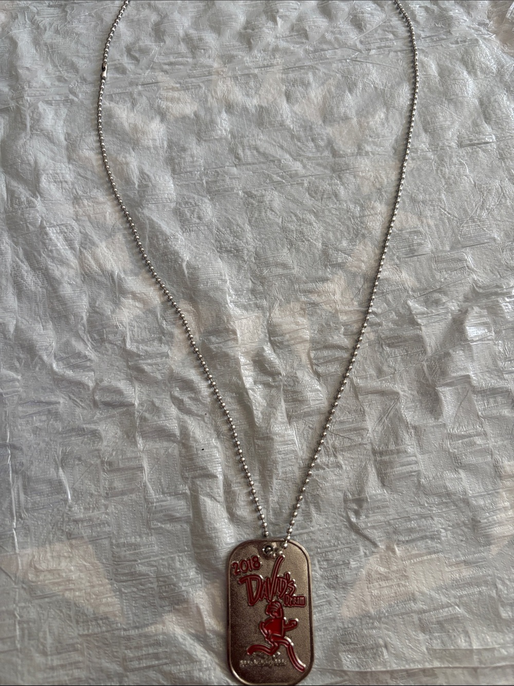 2018 Silver-Tone Dog Tag Necklace with Red Accent